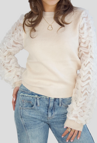 Trui ★ Celine